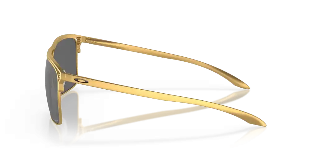 Holbrook TI Polarized