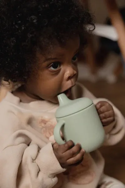 noüka Non-Spill Sippy Cup (Lily Blue)