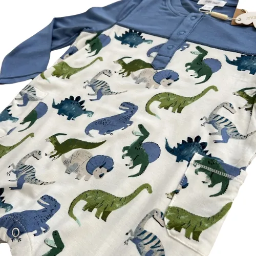 Painterly Dinos Play Wear Henley Romper with Pockets