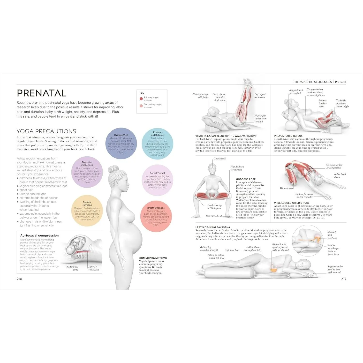 Science of Yoga: Understand the Anatomy and Physiology to Perfect your Practice