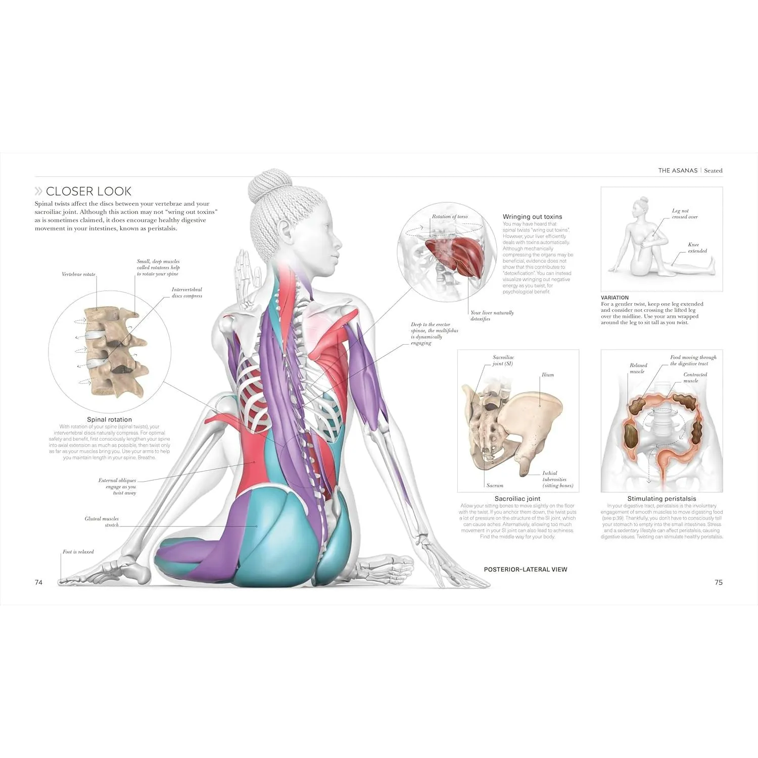 Science of Yoga: Understand the Anatomy and Physiology to Perfect your Practice