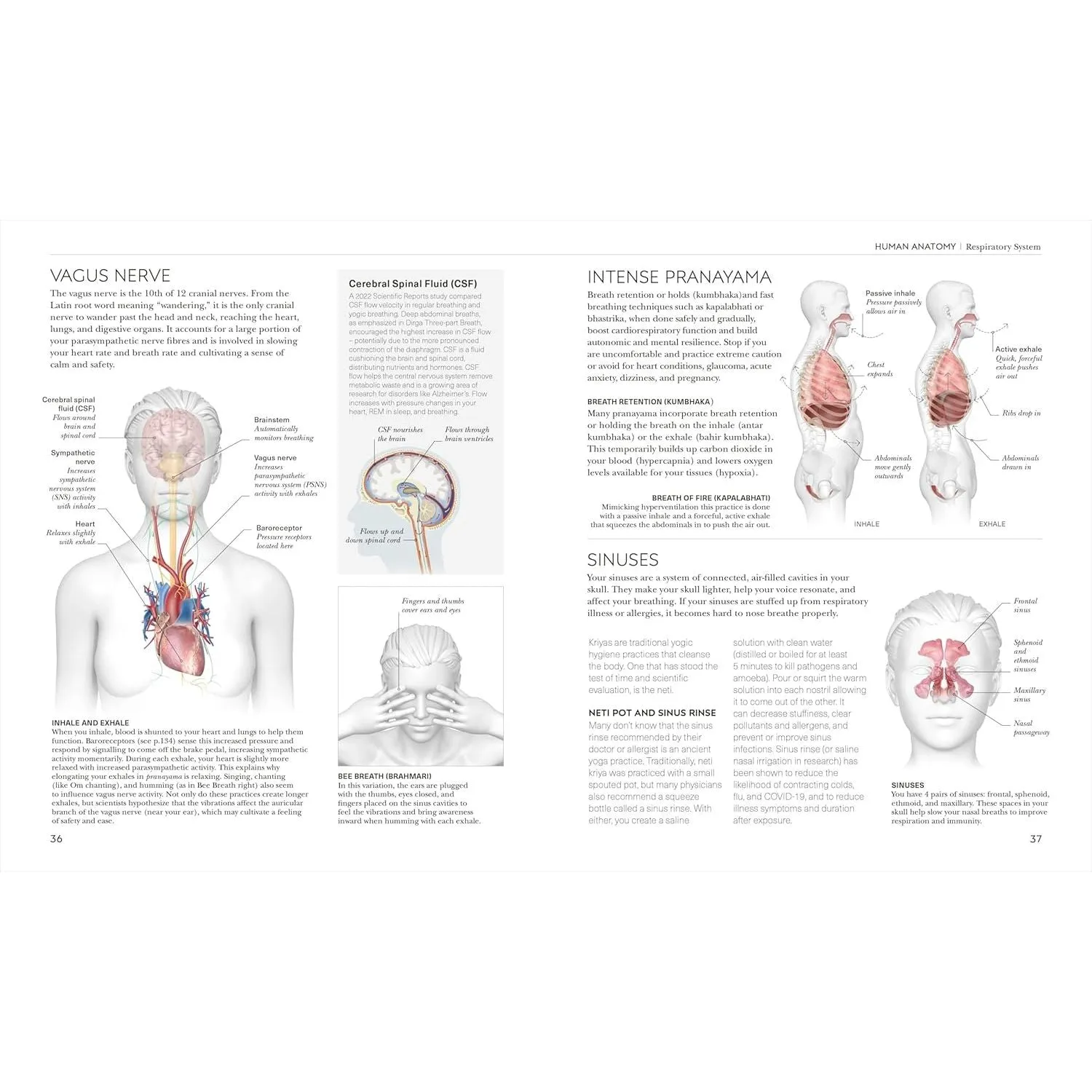 Science of Yoga: Understand the Anatomy and Physiology to Perfect your Practice