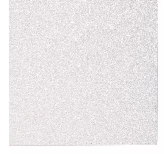Skate Oyster Square Placemat