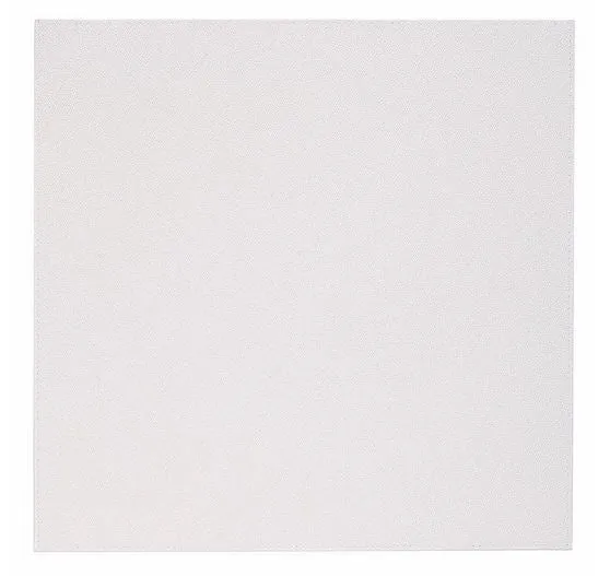 Skate Oyster Square Placemat