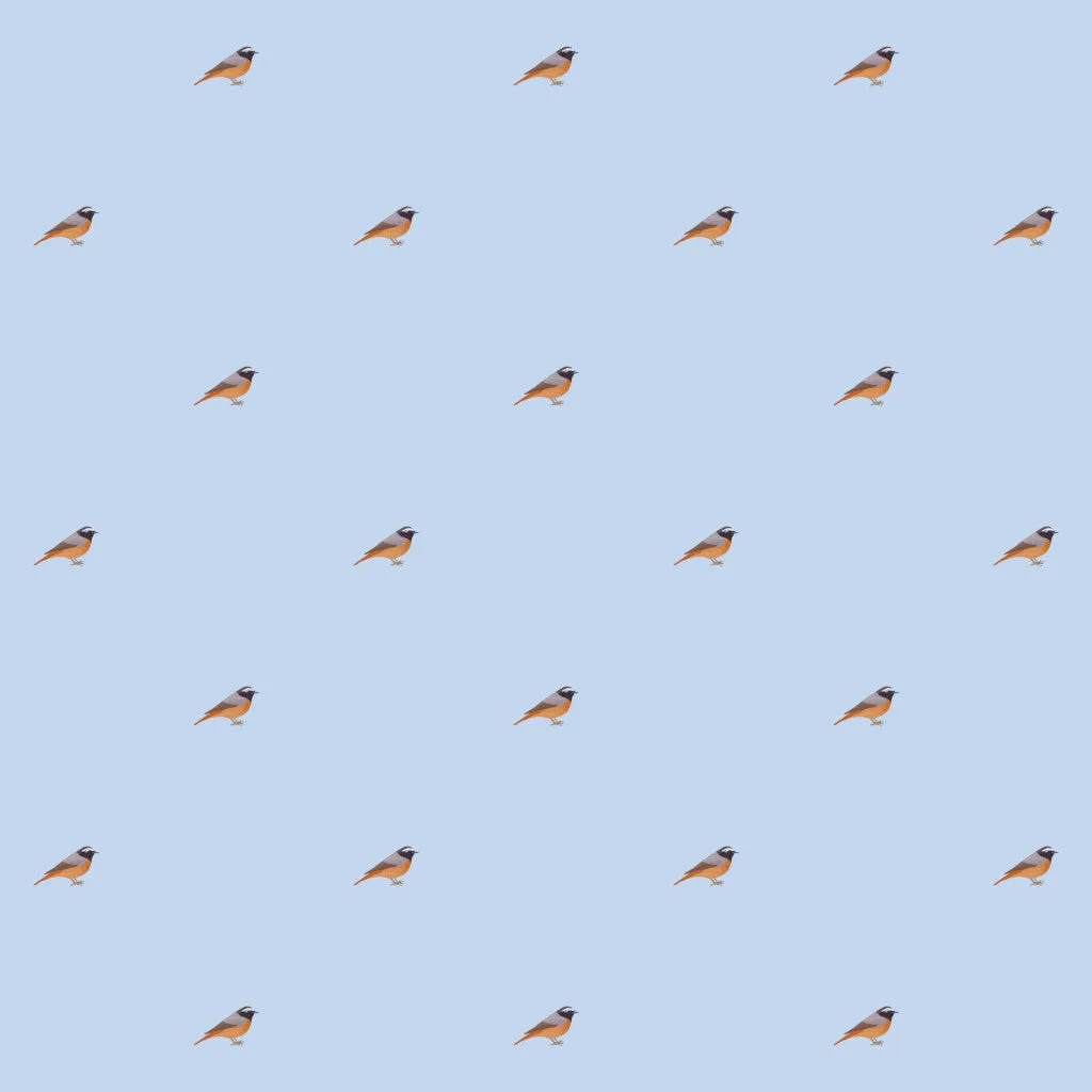 The Robin Polo